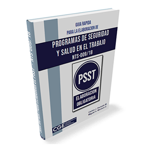 Descarga Libro Guía Rápida de Elaboración del PSST